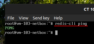 2-1-verify-redis