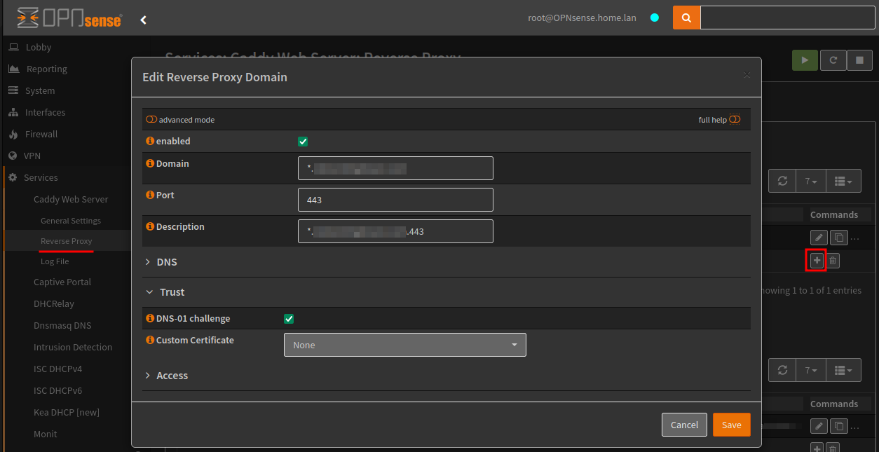 opnsense-19-domainproxy