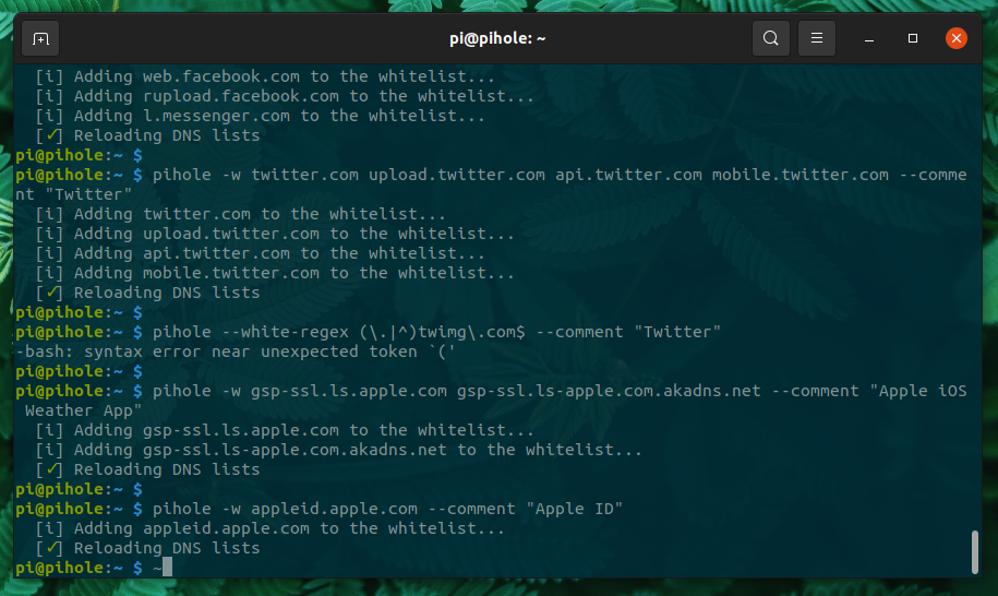 rpi-pihole-whitelist-3