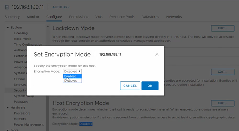 vmware-secure-11