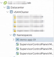 vmware-vm-advanced-09